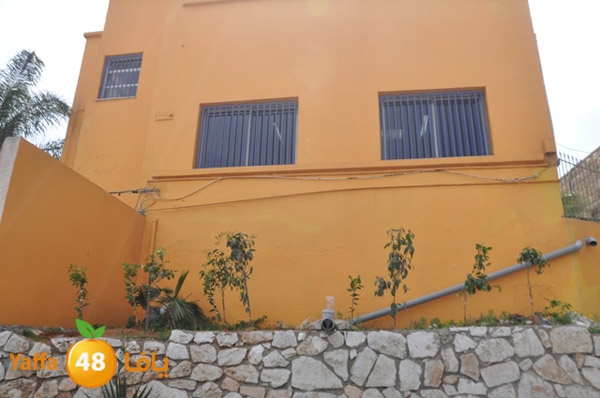 ashjar 7san 3arafa (2).JPG